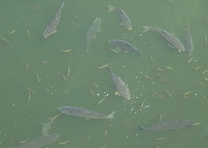 Apartmán Sport Dolní Morava